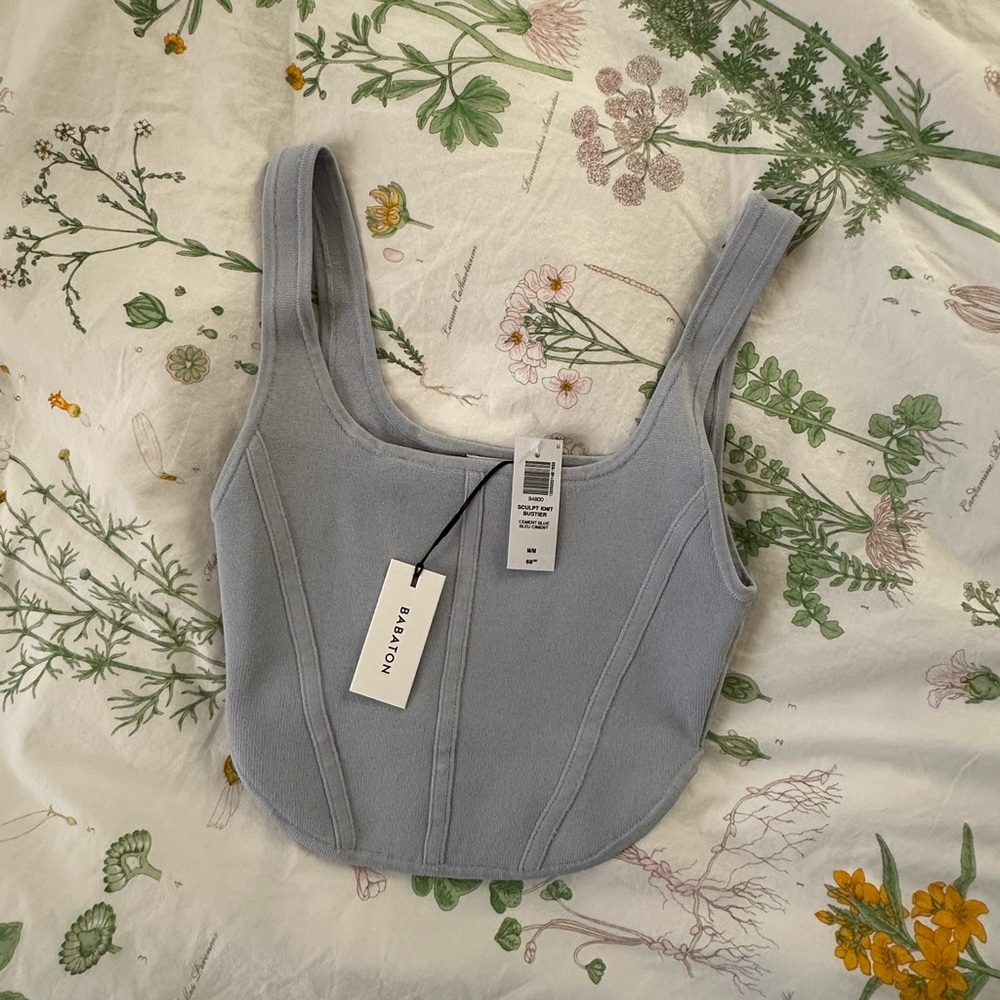 Aritzia Babaton Sculpt Knit Bustier Tank